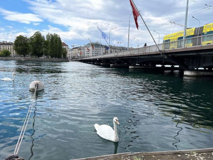 Geneva Complete Tour. Hotel PICK-UP, U.N. & the Old City - Activity Highlights