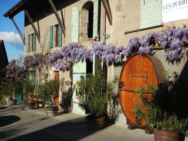 Geneva Countryside and Wine Tasting by E-Bike - Inclusions and Recommendations