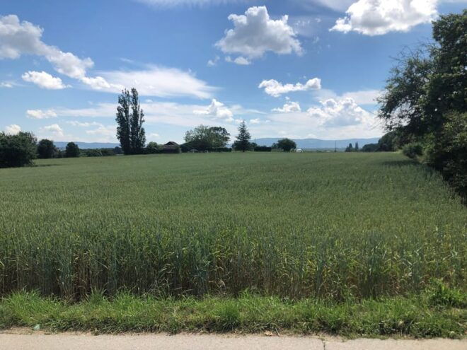 Geneva Countryside and Wine Tasting by E-Bike - Participant Restrictions