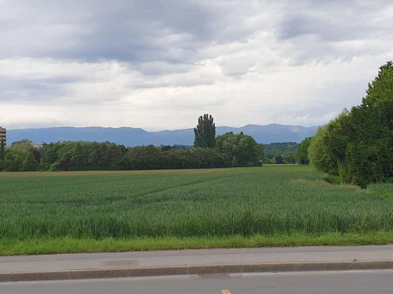 Geneva Countryside, Wine Tasting, Aperitif, Castle By E-bike - Discovering the Geneva Countryside by E-bike