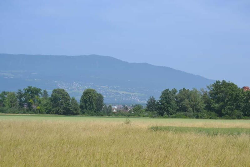 Geneva Countryside, Wine Tasting, Aperitif, Castle By E-bike - Practical Details and Value