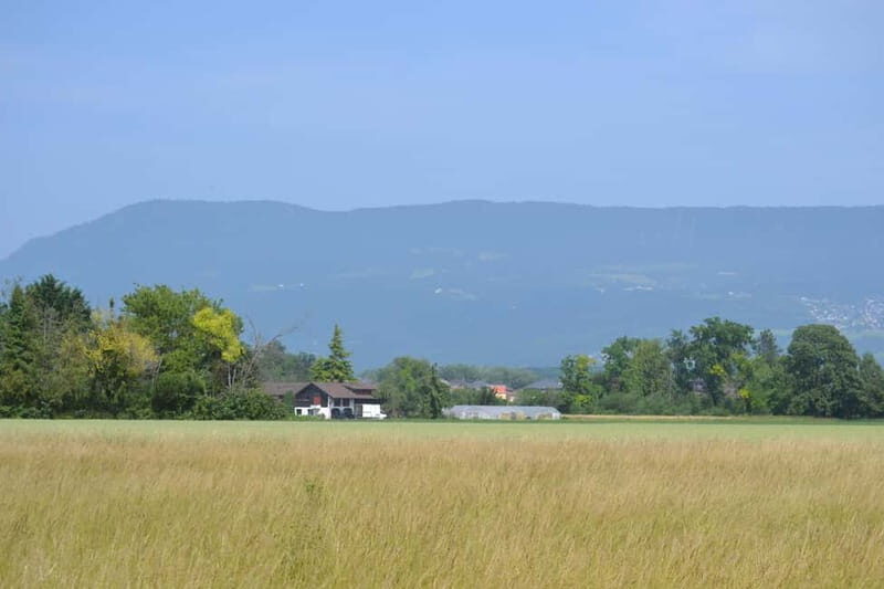 Geneva Countryside, Wine Tasting, Aperitif, Castle By E-bike - Final thoughts