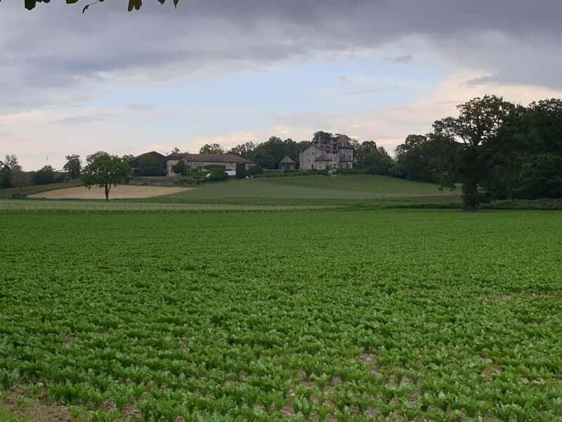 Geneva Countryside, Wine Tasting, Aperitif, Castle By E-bike - Frequently Asked Questions