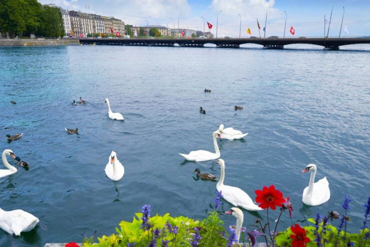 Geneva: Escape Game and Tour - Booking Information