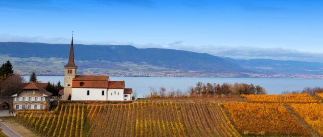 Geneva: Guided Wine Tour - Inclusions and Exclusions