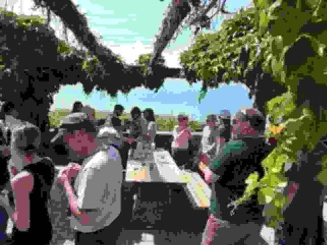 Geneva: Guided Wine Tour - Customer Experiences