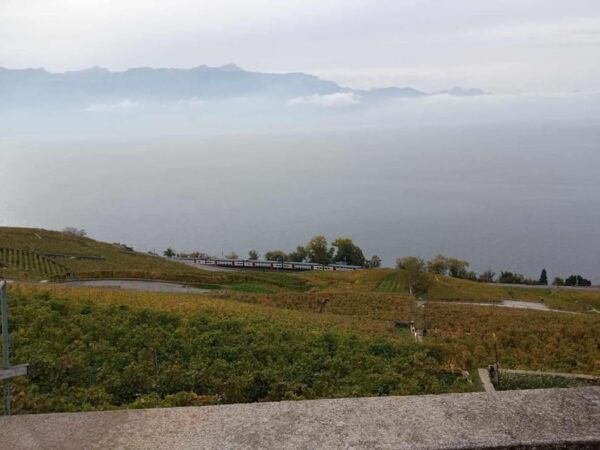 Geneva: Guided Wine Tour - Visit to Chillon Castle