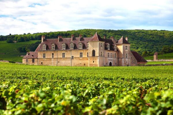Geneva: Guided Wine Tour - Wine Tastings at Wineries