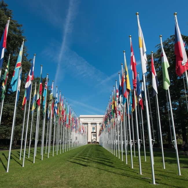 Geneva: Hop-on Hop-Off Bus & Scenic Mini-Train Tour - Authentic Passenger Perspectives