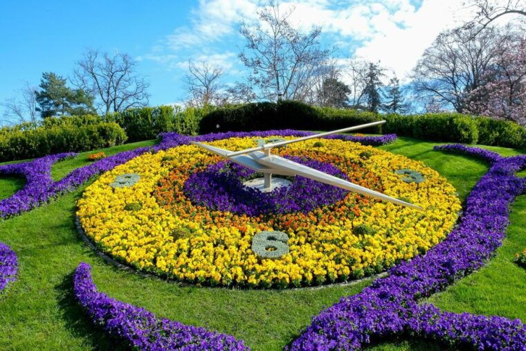 Geneva: International Area & Old Town Guided Bus Tour - Tour Features