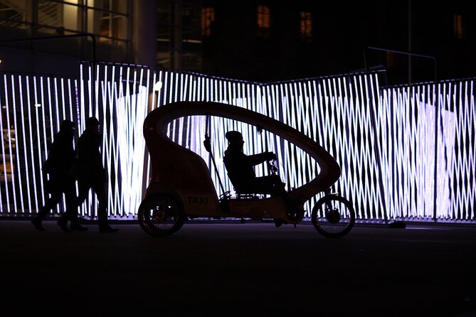 Geneva Lux TaxiBike 1h30 - Additional Information