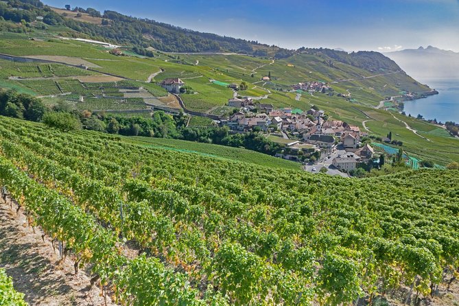 Geneva Private Walking Tour With Professional Guide - Pricing and Cancellation