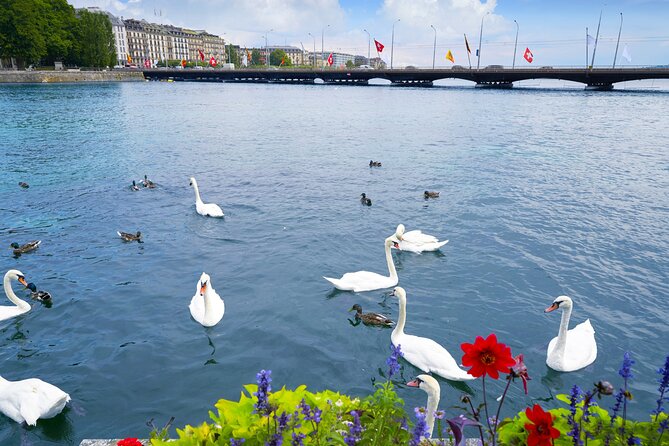 Geneva Scavenger Hunt and Best Landmarks Self-Guided Tour - Tour Information