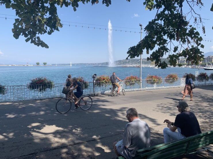 Geneva's Left Bank: A Self-Guided Audio Tour - Experience Highlights