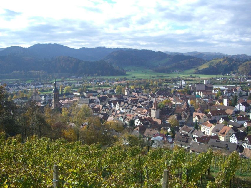 Gengenbach: Private Guided Walking Tour - Impact of Wars on Gengenbach