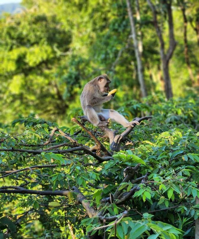 Genggelang Waterfalls Eco-Adventure Trek in North Lombok - Final Thoughts  
