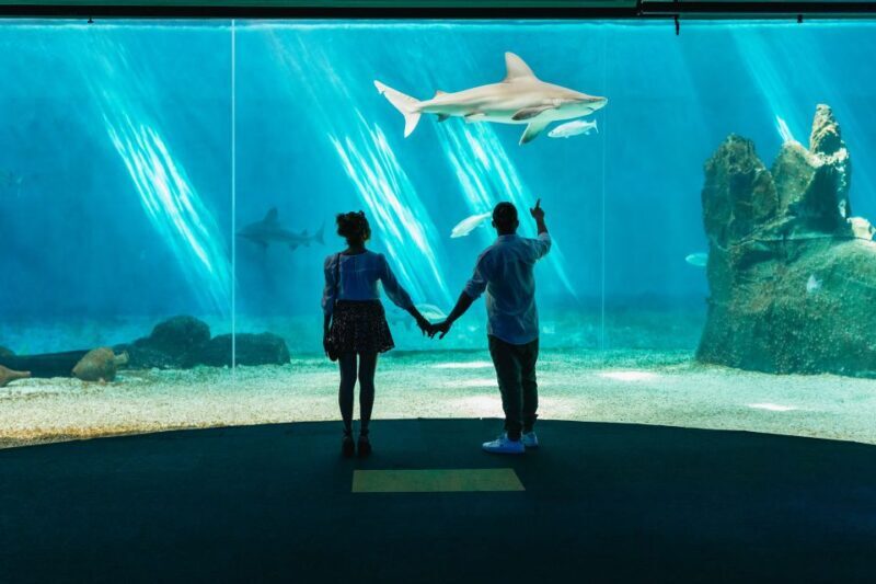 Genoa: Aquarium of Genoa Entry Ticket - Who Will Enjoy This Experience?