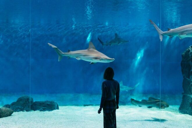 Genoa: Aquarium of Genoa With Lunch - Selecting Participants and Date