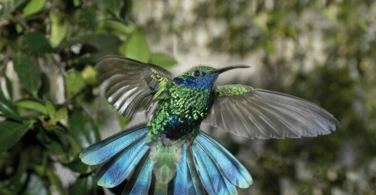 Genoa: Biosfera Entrance Ticket - Experience