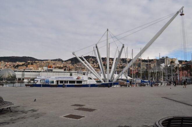 Genoa: Half-Day Tour to Portofino - Cancellation Policy