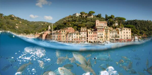 Genoa: Half-Day Tour to Portofino - Customer Feedback