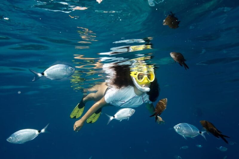 Genoa: snorkeling a stone's throw from downtown - Good To Know