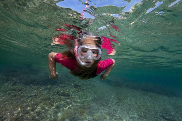 Genoa: Snorkeling Tour Along the Genoa Coastline - Experience Highlights