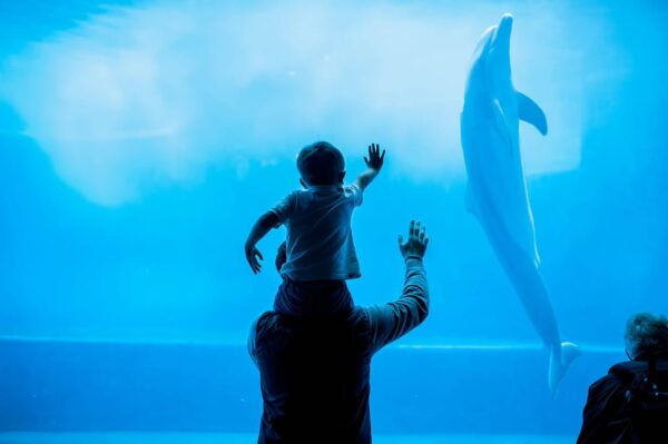 Genoa: Strada Nuova Guided Tour + Aquarium Ticket - Frequently Asked Questions