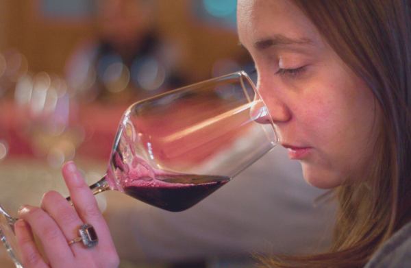 Genoa Wine Tasting Near the Aquarium - About the Region