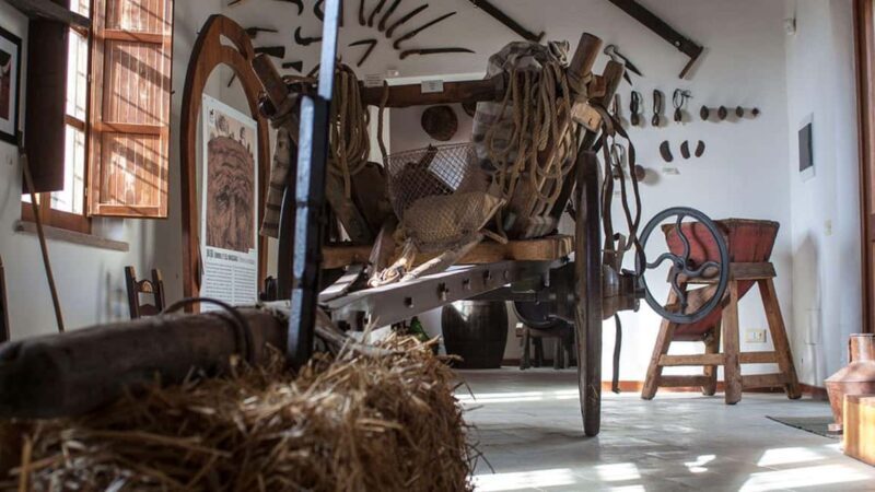 Genoni: discover the Giara Park - FAQ