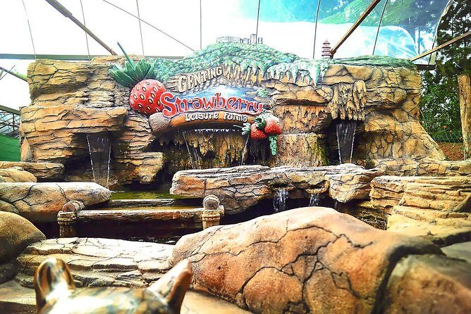 Genting Highland And Batu Caves Tour With 2-Way Cable Car Tickets - Why This Tour Works Well