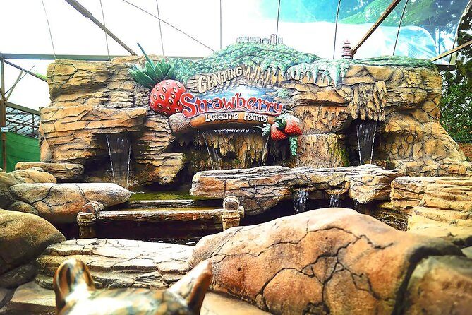 Genting Highland Day Tour From Kuala Lumpur Include 2-way Cable Car Ride & Lunch - An Authentic Look at the Genting Highlands Day Tour  