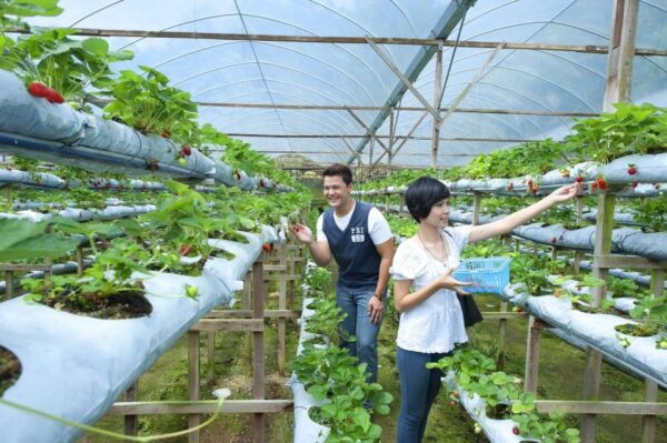 Genting Highland: Private Day Trip From Kuala Lumpur - Directions