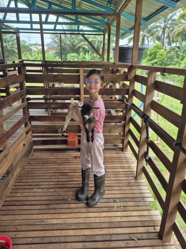 Gentle Farms Tours in Johor Bahru - At a glance: the farm visit