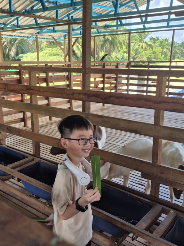 Gentle Farms Tours in Johor Bahru - A small farm with room for real interaction
