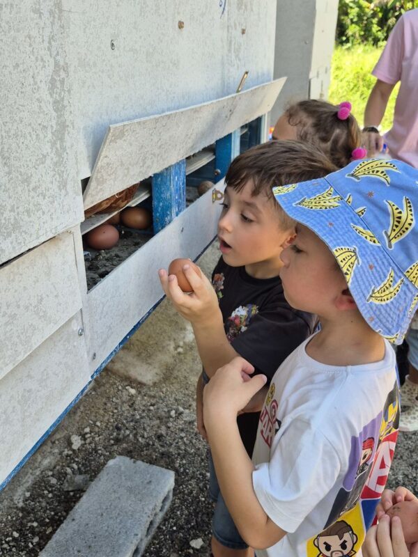 Gentle Farms Tours in Johor Bahru - Free & Easy or Guided Experiential Tour?