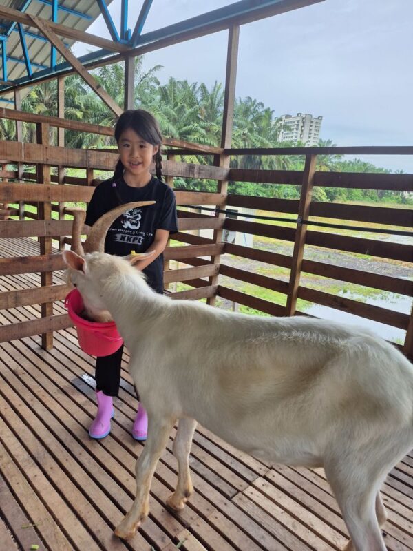 Gentle Farms Tours in Johor Bahru - What the 45-minute visit feels like