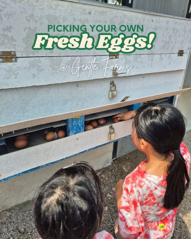 Gentle Farms Tours in Johor Bahru - Getting to Gentle Farms from Johor Bahru