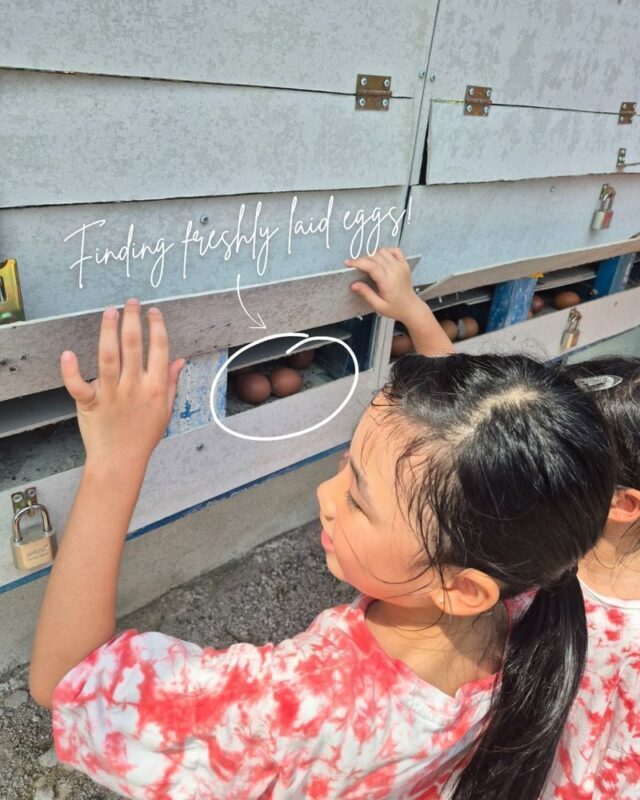 Gentle Farms Tours in Johor Bahru - Who will enjoy this farm stop most?