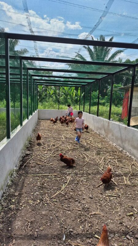 Gentle Farms Tours in Johor Bahru - Practical details before you book
