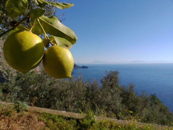 Genuine Cooking Class With a Locals From Generations - Explore the Natural and Spontaneous Atmosphere