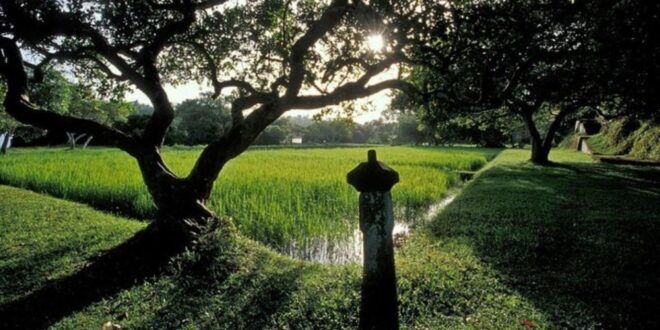 Geoffrey Bawa: Architecture Tour - Insights Into Bawas Architecture and Landscaping