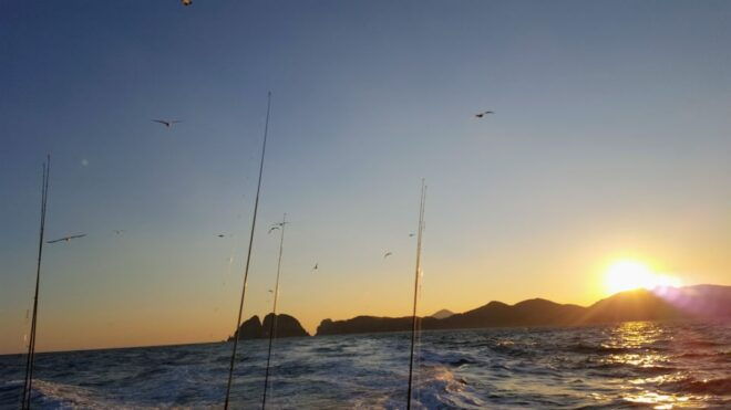 Geoje Island: Deep Sea Fishing - Jigging for Yellow Tail - Multiple Boats for Big Groups