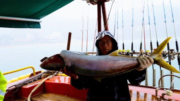 Geoje Island: Deep Sea Fishing - Jigging for Yellow Tail - Includes Jigging Fishing Equipment
