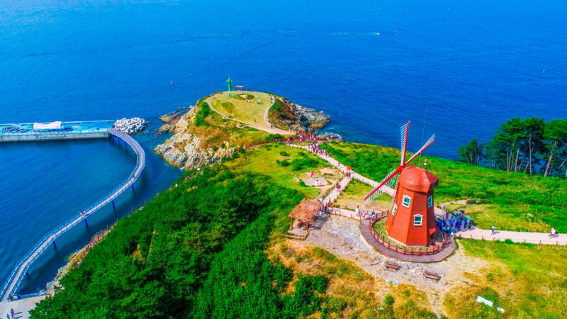 Geoje Panorama Cable Car & Oedo Botania Full-Day Nature Tour - Lunch is the part to clarify before you go