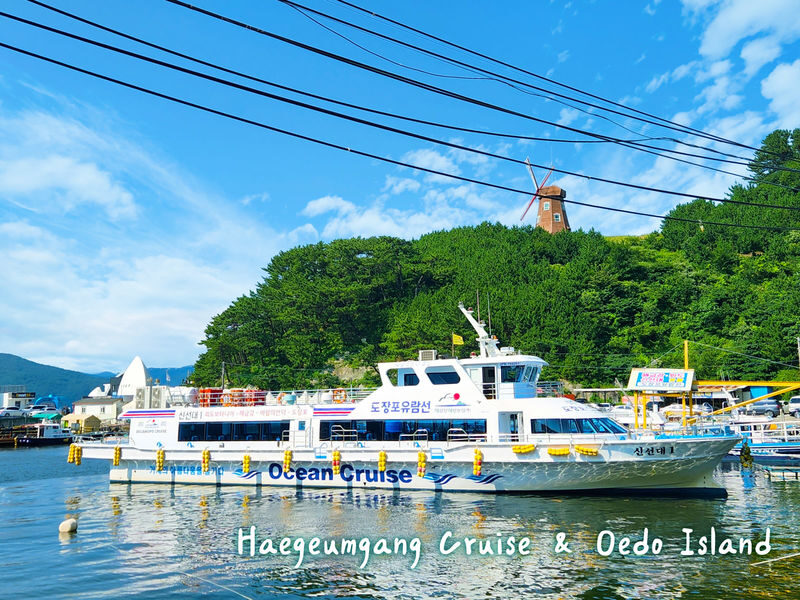 Geoje Panorama Cable Car & Oedo Botania Full-Day Nature Tour - The Tongyeong question and a potentially long day
