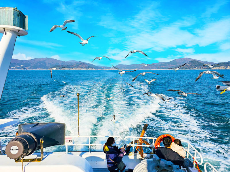 Geoje Panorama Cable Car & Oedo Botania Full-Day Nature Tour - Is $91.60 good value?