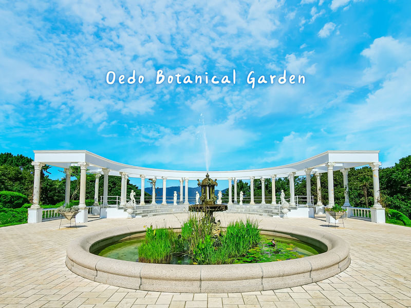 Geoje Panorama Cable Car & Oedo Botania Full-Day Nature Tour - Who should book this Geoje tour?