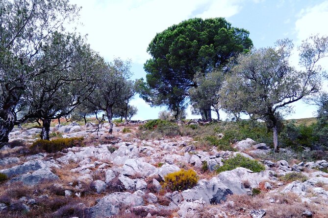 Geological Marvels Unveiled: SUV Tour Serras De Aire E Candeeiros - Directions