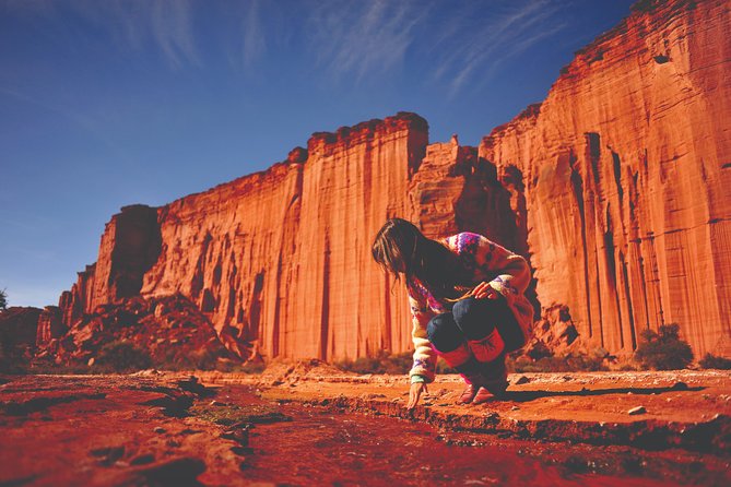 Geological Wonders Await: Tour Ischigualasto and Valle De La Luna - Unique Formations at Ischigualasto Provincial Park